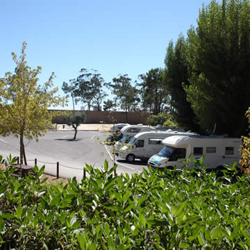 Parque de Campismo da Figueira da Foz — photo 8
